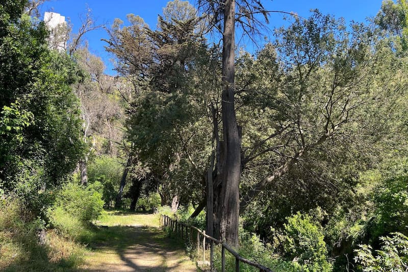 Este pulmón verde es uno de los más destacados en la Región de Valparaíso. Foto: Municipalidad de Valparaíso vía Facebook.