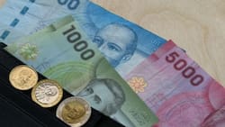 IPS y Chile Atiende: Consulta con tu RUT la fecha de pago de tus bonos, subsidios y pensiones