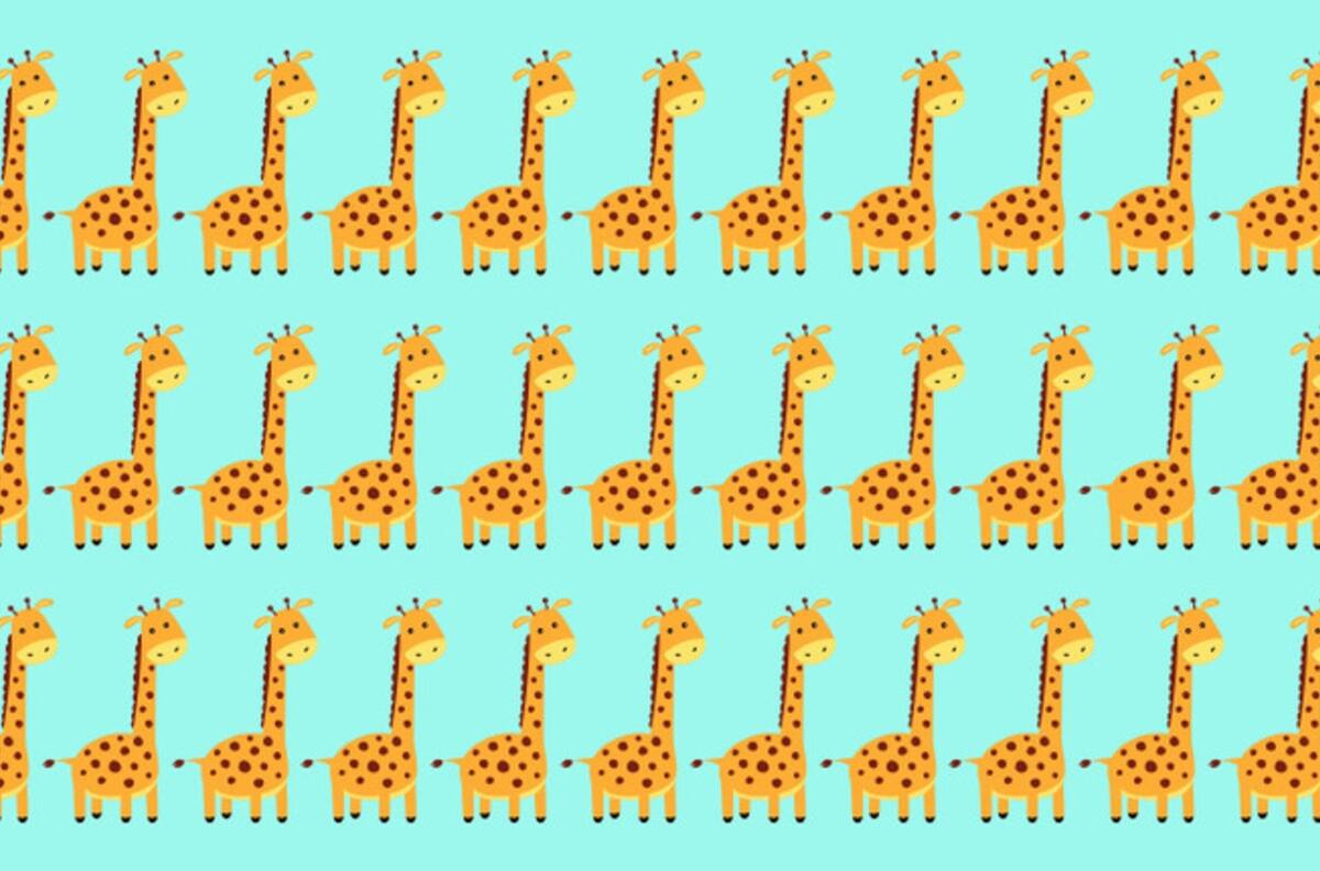 Test Visual: ¿Puedes encontrar cuál es la jirafa diferente en la imagen en solo 10 segundos?