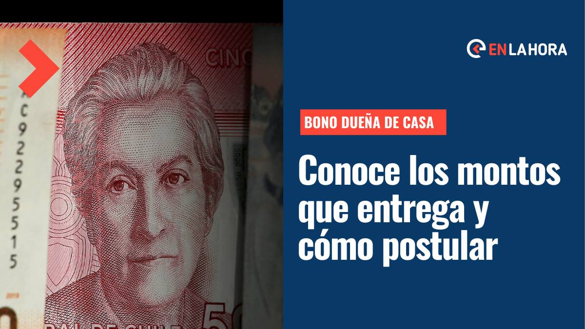 Bono Dueña de Casa: Estos son los montos que entrega y cómo puedes acceder al aporte de dos años