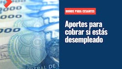 Bonos para cesantes: Estos son los beneficios que puedes solicitar si te encuentras desempleado