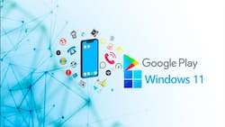 Google prepara para 2022 una propia tienda de juegos compatibles con Windows