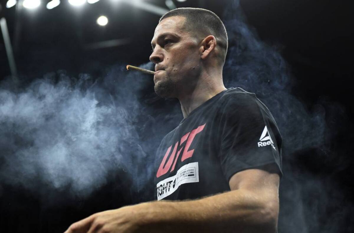 Estudio: 50% de los peleadores de MMA consumen cannabis