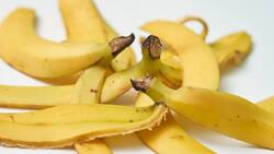 No las botes: estos son 5 trucos que puedes realizar con la cáscara de plátanos