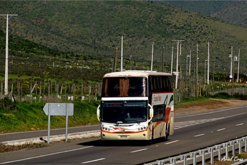denunciará a empresa de buses del norte de Chile.