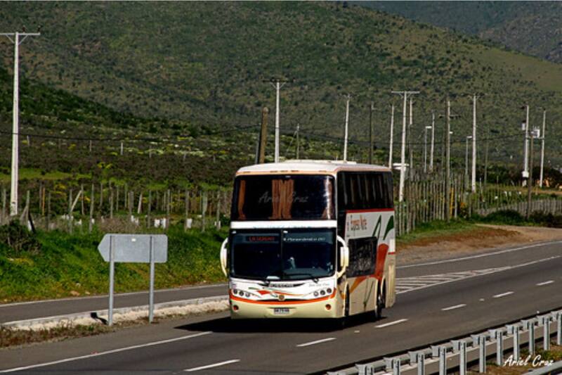 La entidad fiscalizadora entregó listado de las compañías de buses con más reclamos.