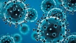 Ómicron: ¿Por qué es considerada la variante “Frankenstein” del Covid-19 en el mundo?