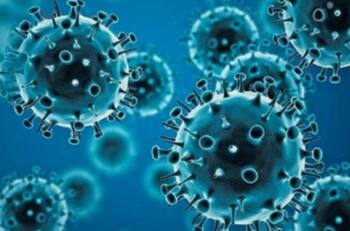 Ómicron: ¿Por qué es considerada la variante “Frankenstein” del Covid-19 en el mundo?