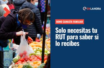 Bono Canasta Familiar: Consulta con RUT si eres uno de los beneficiarios de este aporte monetario