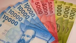 Bono Escolar 2026: Cuál es el monto, cuándo se paga y los requisitos para obtenerlo