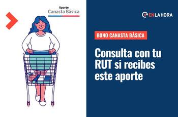 Bono Canasta Básica: Revisa con tu RUT si recibes en noviembre este aporte de hasta más de $100 mil