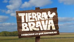 Exchica reality recordada por su paso en Tierra Brava realizó arriesgada acción tras sufrir violento asalto