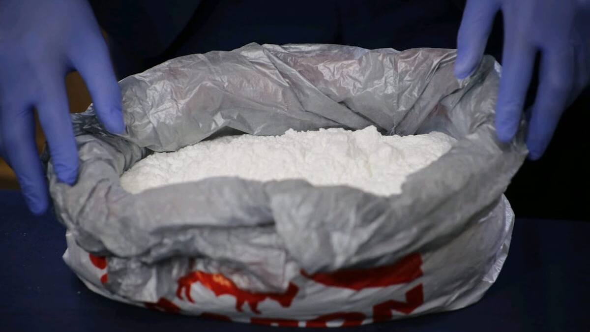 Cocaína adulterada: encuentran medicamento para dormir elefantes en droga que mató a 24 personas