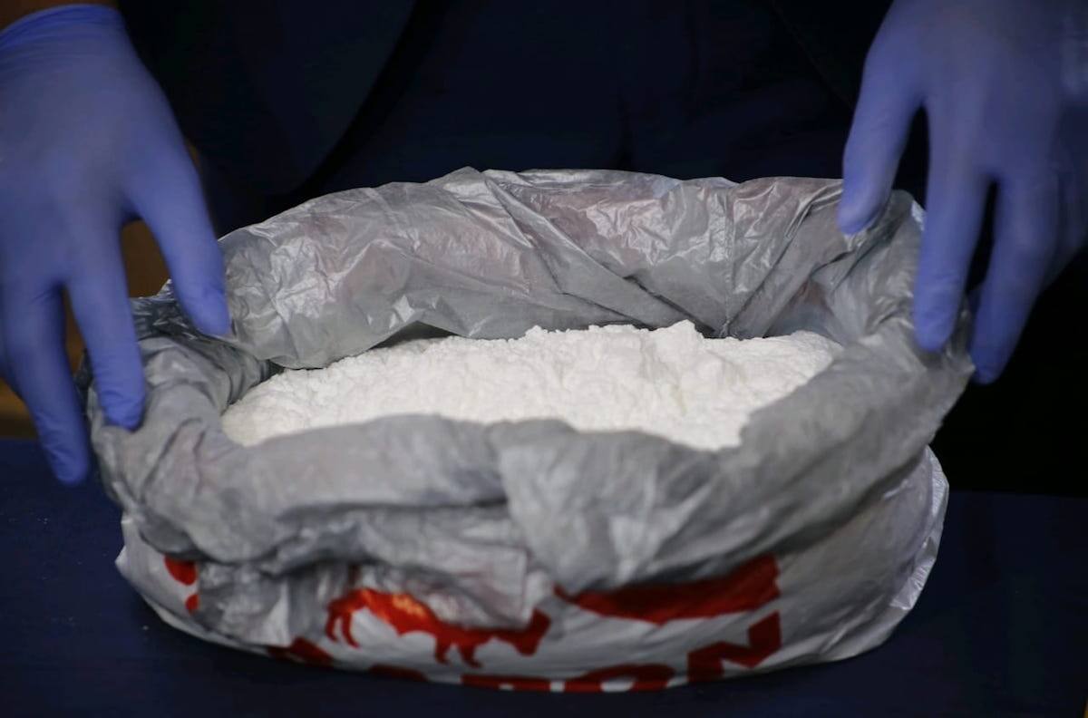 Cocaína adulterada: encuentran medicamento para dormir elefantes en droga que mató a 24 personas