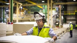 ¿Quieres trabajar en CMPC? Conoce cuáles son sus ofertas laborales y cómo postular