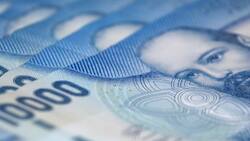 ¿Qué bonos entrega Chile Seguridades y Oportunidades? Revisa si recibes alguno