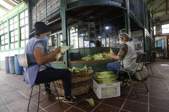 IFE Universal retroactivo, de julio y agosto: conoce montos por familia y fechas de pago