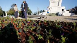 VIDEO | Así se inició la plantación de flores para remodelar la Plaza Baquedano