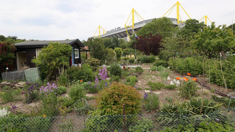 Reanudación Bundesliga (21)