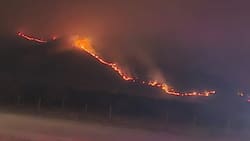 Incendio forestal consume más de 800 hectáreas y obliga a suspender clases en tres comunas de la RM