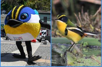 Iba a tener otro nombre y más curiosidades: Habla Eduardo Cortés, el padre y creador de Fiu