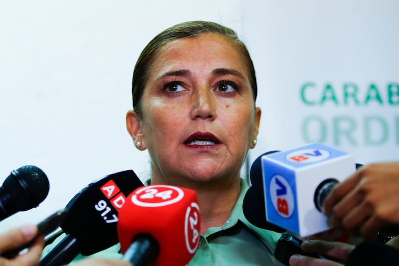 Santiago, 29 de enero del 2020
La coronel Karina Soza del Departamento de Derechos Humanos de Carabineros de Carabineros, se refiere al atropello ocurrido en los alrededores del estadio Monumental.
Ramon MonroyAton Chile