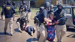 Corte de Temuco acogió recursos de amparo contra PDI por detención de hija de Camilo Catrillanca