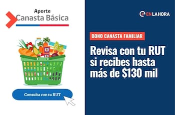Bono Canasta Familiar: Consulta con tu RUT si recibes este aporte de hasta más de $130 mil