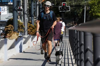 Santiago con cielo despejado: Así estará el clima en Chile este domingo 8 de diciembre