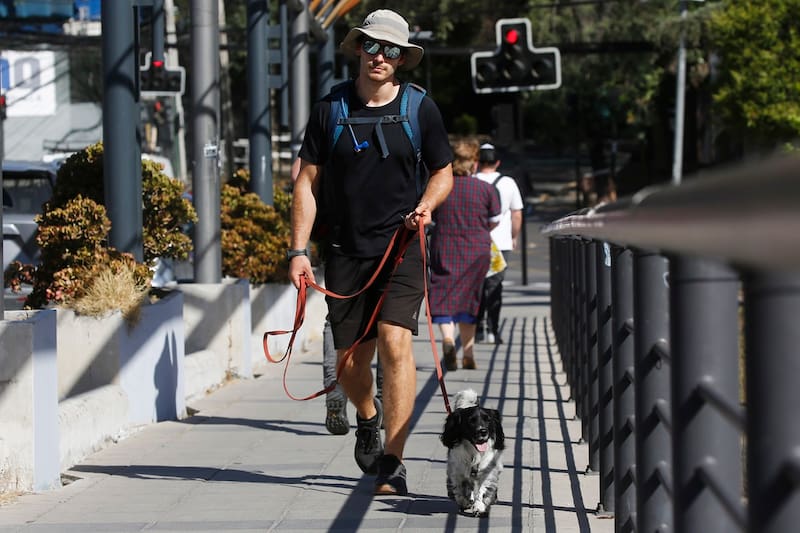 Conoce el pronóstico para este domingo 8 de diciembre.