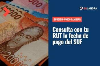 SUF: Consulta solo con tu RUT por la fecha de pago del Subsidio Único Familiar