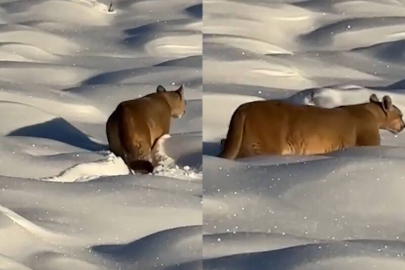 El video circuló en Instagram. Créditos: Jessica Haro Guerrero