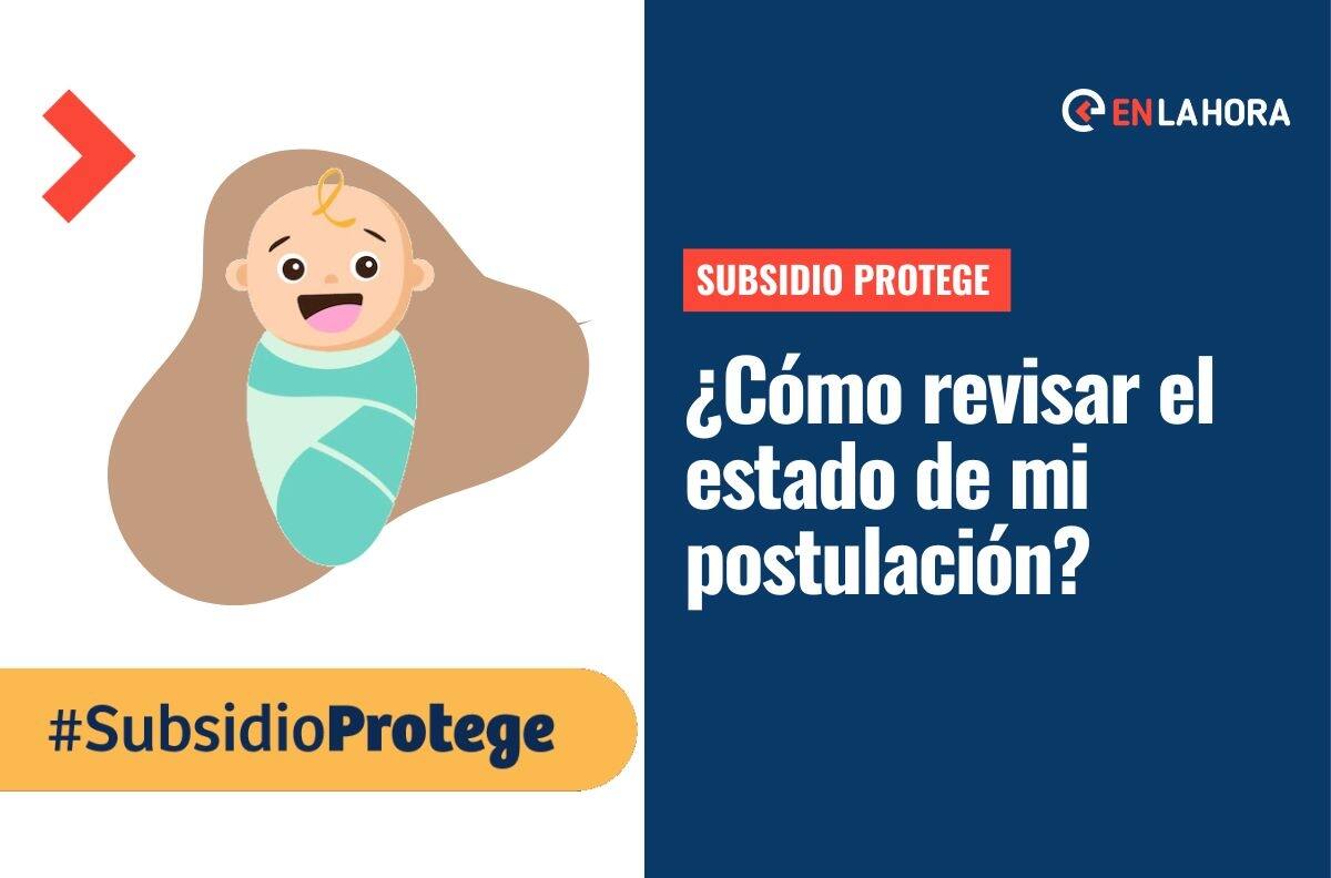 Subsidio Protege: Consulta el estado de tu postulación y el calendario de pagos