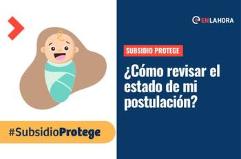 Subsidio Protege: Consulta el estado de tu postulación y el calendario de pagos