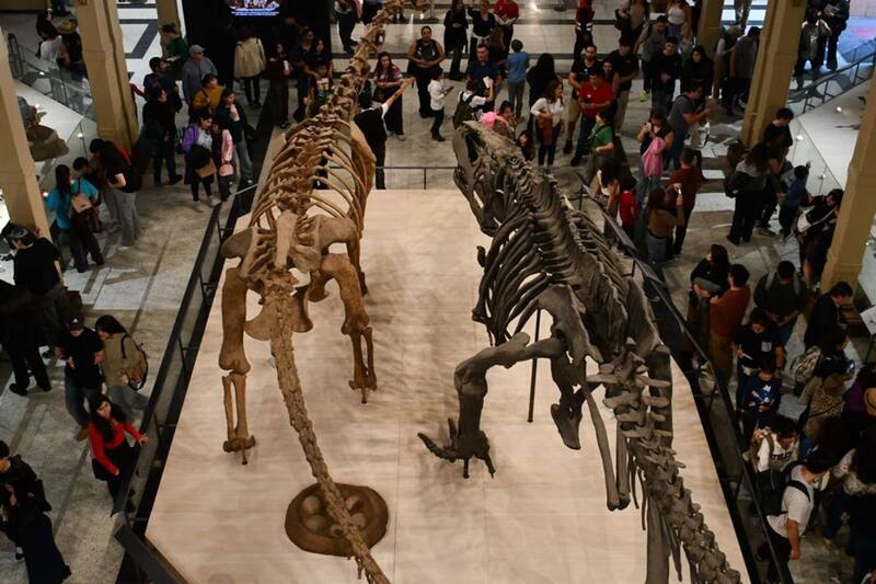 Su entrada es gratuita para todo público.
Créditos: Museo Nacional de Historia Natural.