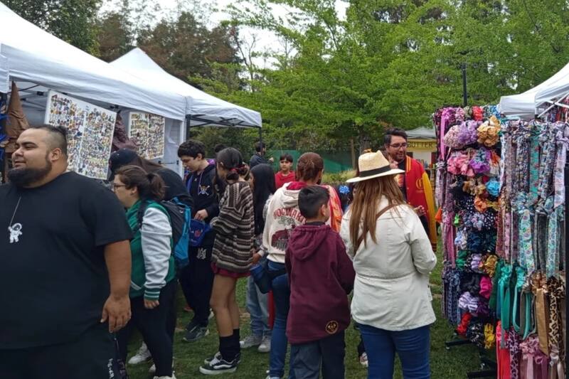 Los stands de tiendas y coleccionistas son un lugar ideal para hacer las últimas compras navideñas y sorprender a los fanáticos de la saga. Créditos: Potterfest de Navidad.