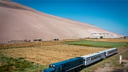 Tren turístico Arica a Poconchile: Precio, horarios y dónde comprar sus pasajes