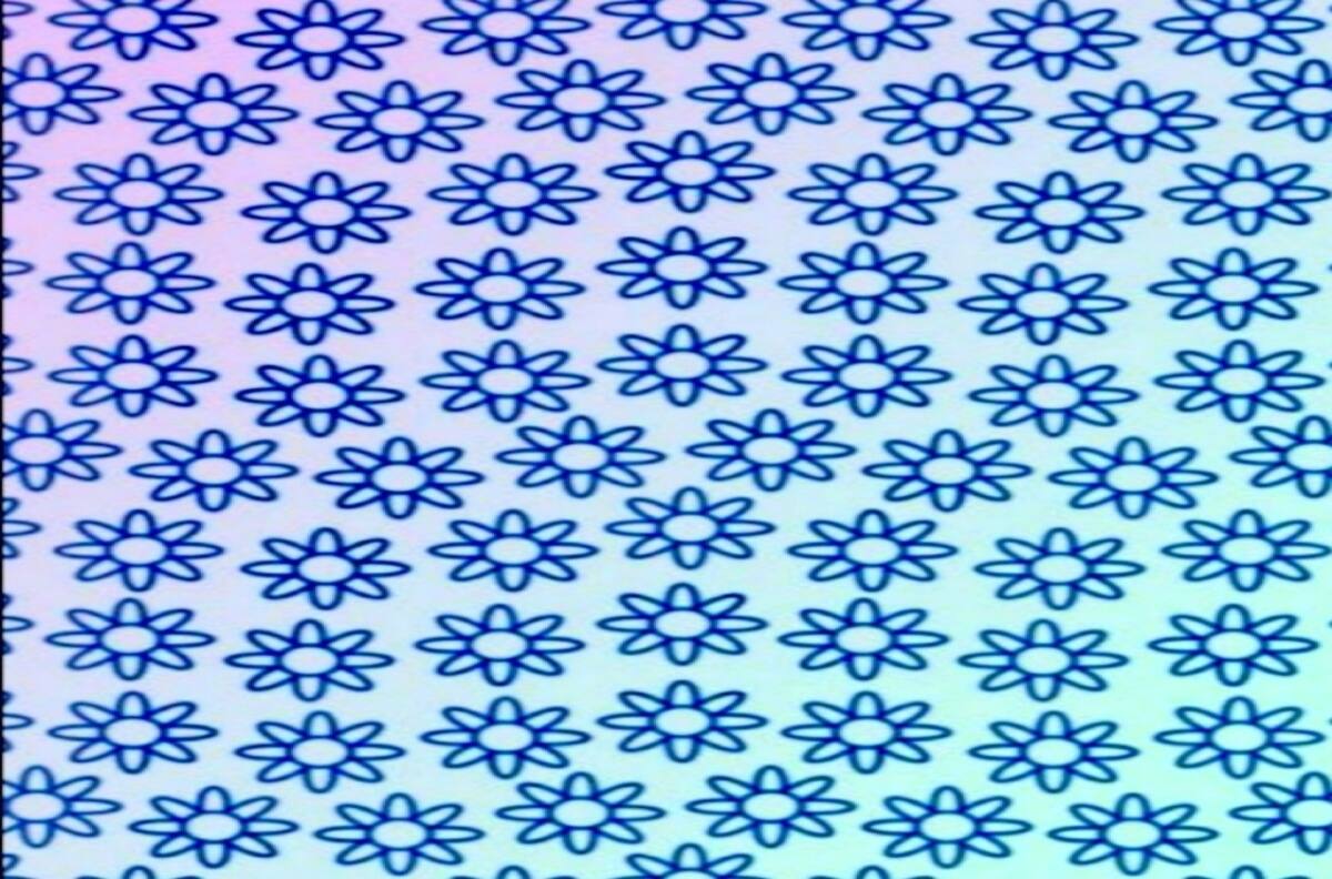 Acertijo visual: Te retamos a encontrar la flor que es distinta a las demás, solo tienes 10 segundos