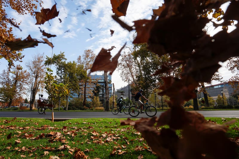 El 23 de marzo comienza el otoño en Chile. Créditos: ATON.