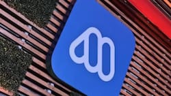 Emblemático programa de Mega logra impresionante récord de sintonía: lideró su horario por tercer mes consecutivo