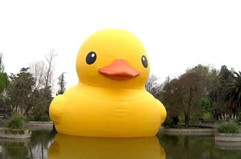 Vuelve el Pato Gigante de hule: ¿Cuándo y en qué ciudades se hará el Festival Hecho en Casa 2021?