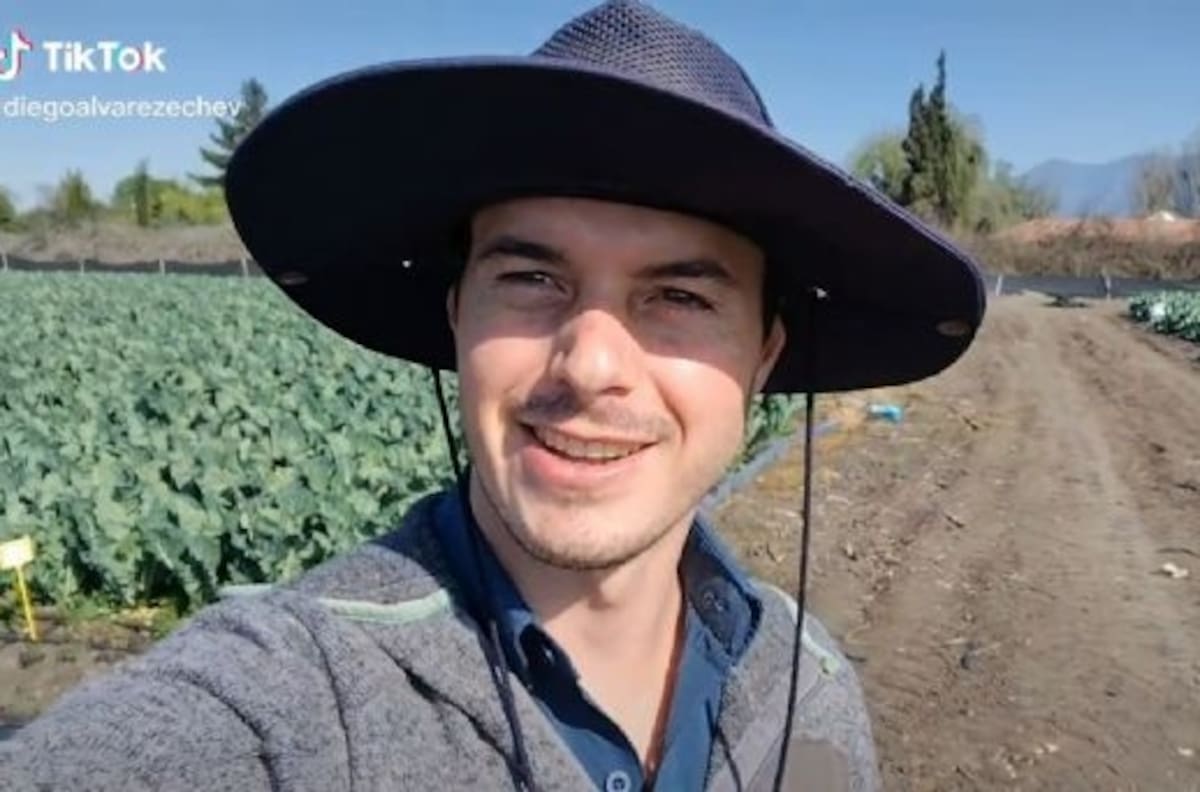 Presumiendo su cosecha: Tiktoker chileno se convierte en viral al confundir el brócoli con la coliflor