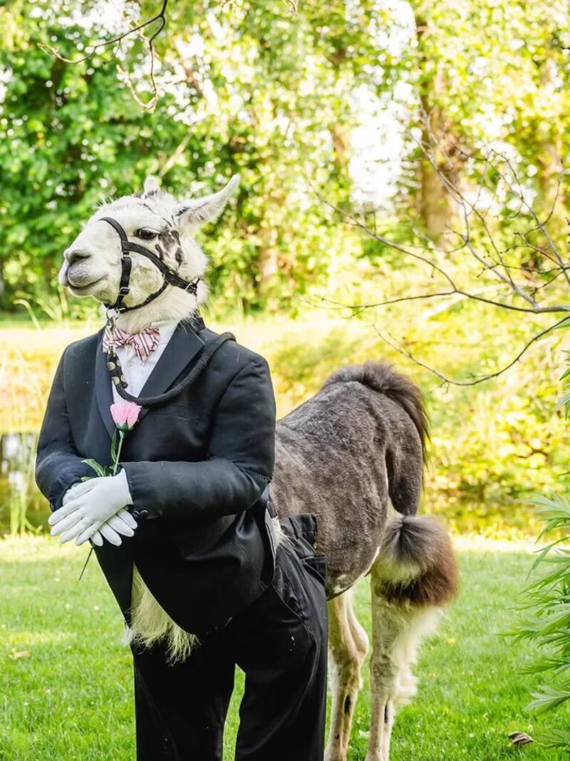 Las fotos se hicieron virales en la web. Créditos: Facebook Maison Albion