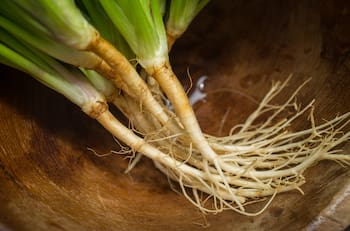 No los botes: así puedes sembrar o reutilizar los residuos de tus verduras para cosechar nuevos vegetales