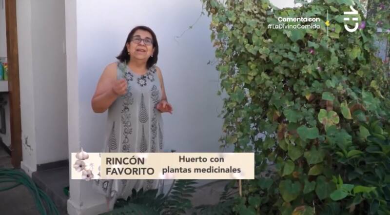 El huerto medicinal. Créditos: CHV.