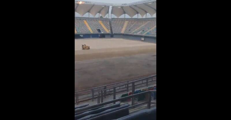 retiraron el pasto sintético.