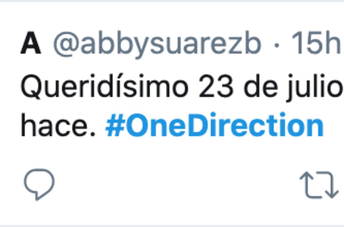 One Direction tras su aniversario de 10 años: ¿El grupo se volverá a juntar?