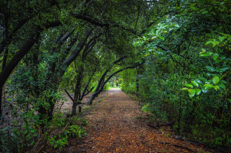 Un paraje del Parquemet que no muchos conocen. Créditos: Visitar Chile.