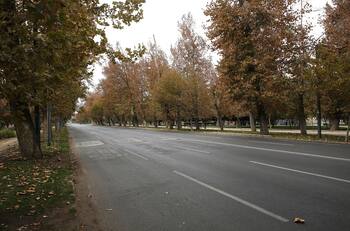 ¿Nuevas cuarentenas? Esto es lo que tiene que pasar para que regresen los confinamientos