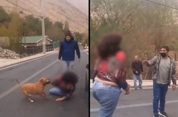 VIDEO | Mujer en estado de ebriedad chocó, agredió a familia y su mascota y escupió a carabinero